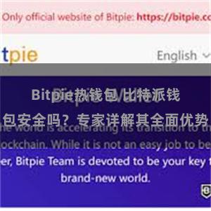 Bitpie热钱包 比特派钱包安全吗？专家详解其全面优势