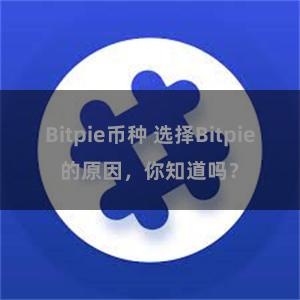 Bitpie币种 选择Bitpie的原因，你知道吗？