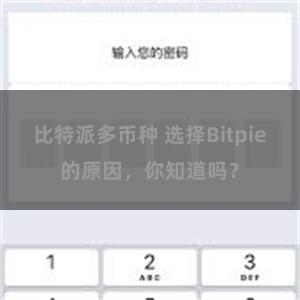 比特派多币种 选择Bitpie的原因，你知道吗？