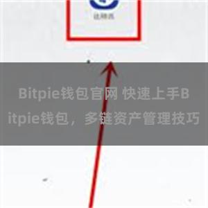 Bitpie钱包官网 快速上手Bitpie钱包，多链资产管理技巧