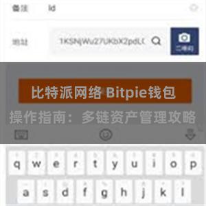 比特派网络 Bitpie钱包操作指南：多链资产管理攻略