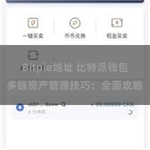 Bitpie地址 比特派钱包多链资产管理技巧：全面攻略