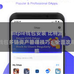 Bitpie钱包安装 比特派钱包多链资产管理技巧：全面攻略