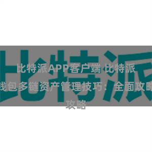 比特派APP客户端 比特派钱包多链资产管理技巧：全面攻略