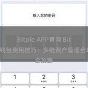 Bitpie APP官网 Bitpie钱包使用技巧：多链资产管理全攻略