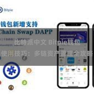 比特派中文 Bitpie钱包使用技巧：多链资产管理全攻略