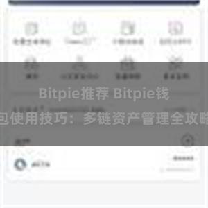 Bitpie推荐 Bitpie钱包使用技巧：多链资产管理全攻略