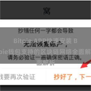 Bitpie APP快速安装 Bitpie钱包支持的区块链网络全面解析