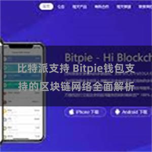 比特派支持 Bitpie钱包支持的区块链网络全面解析