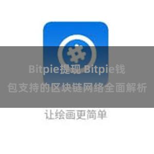 Bitpie提现 Bitpie钱包支持的区块链网络全面解析