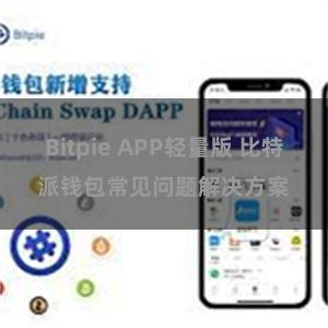 Bitpie APP轻量版 比特派钱包常见问题解决方案