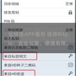 比特派APP备份 选择Bitpie：安全可靠，便捷易用。