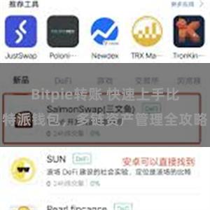 Bitpie转账 快速上手比特派钱包，多链资产管理全攻略