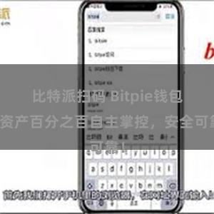 比特派扫码 Bitpie钱包：资产百分之百自主掌控，安全可靠！