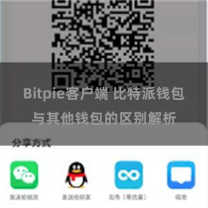 Bitpie客户端 比特派钱包与其他钱包的区别解析