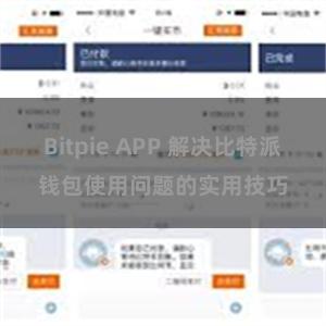 Bitpie APP 解决比特派钱包使用问题的实用技巧