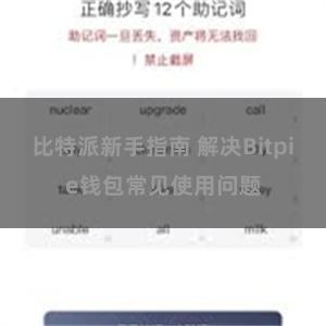 比特派新手指南 解决Bitpie钱包常见使用问题