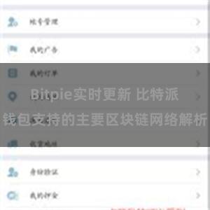 Bitpie实时更新 比特派钱包支持的主要区块链网络解析