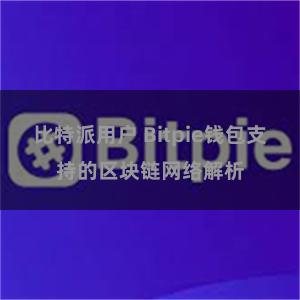 比特派用户 Bitpie钱包支持的区块链网络解析