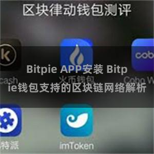 Bitpie APP安装 Bitpie钱包支持的区块链网络解析