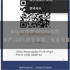 Bitpie币种 Bitpie钱包：资产100%自主掌控，安全可靠。