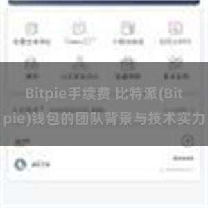 Bitpie手续费 比特派(Bitpie)钱包的团队背景与技术实力