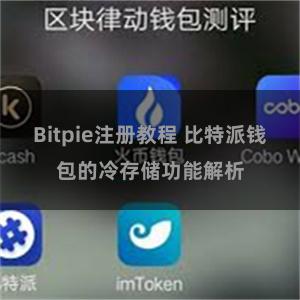 Bitpie注册教程 比特派钱包的冷存储功能解析