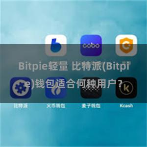 Bitpie轻量 比特派(Bitpie)钱包适合何种用户？