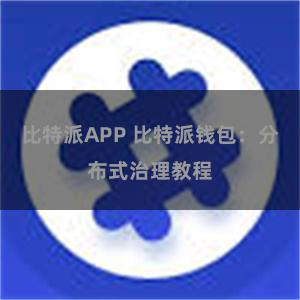 比特派APP 比特派钱包：分布式治理教程