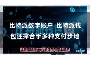 比特派数字账户  比特派钱包还撑合手多种支付步地