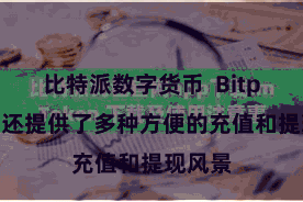 比特派数字货币  Bitpie钱包还提供了多种方便的充值和提现风景